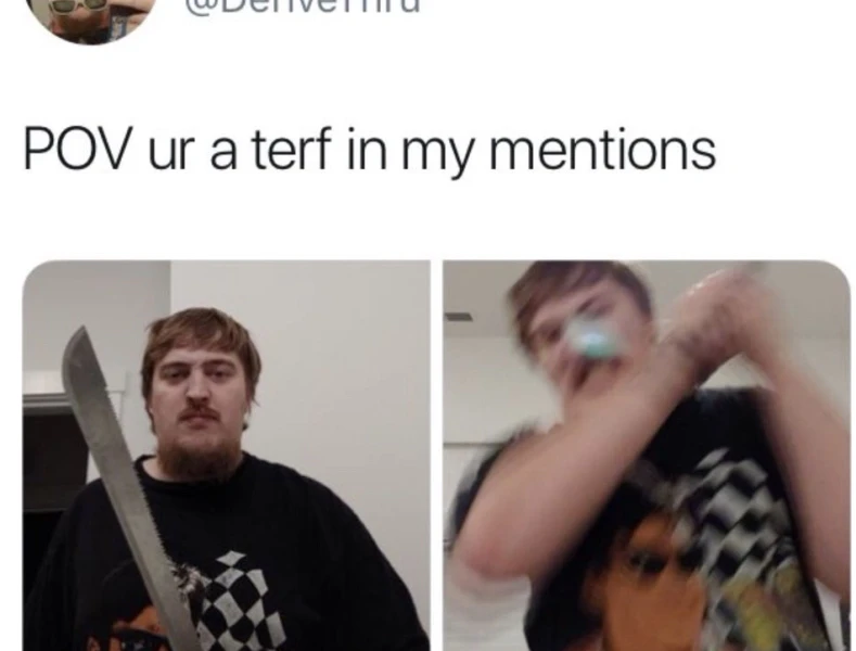 Fichier:Pov-terf-1.webp