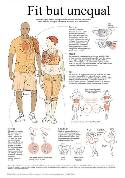File:Fit but unequal.jpg
