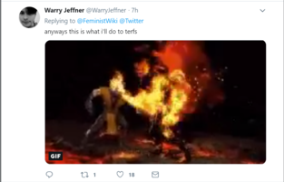 Outra imitação do tweet. O GIF é do personagem de Mortal Kombat 11 Scorpion queimando viva a sua oponente.