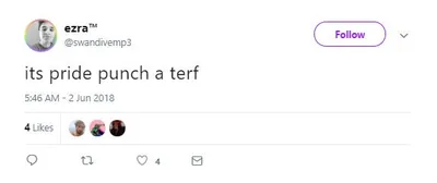 "It's Pride punch a terf" ("É o Orgulho soque uma terf").