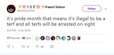 "All terfs will be arrested on sight."