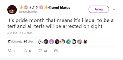 "All terfs will be arrested on sight" ("Todas as terfs serão presas à vista").