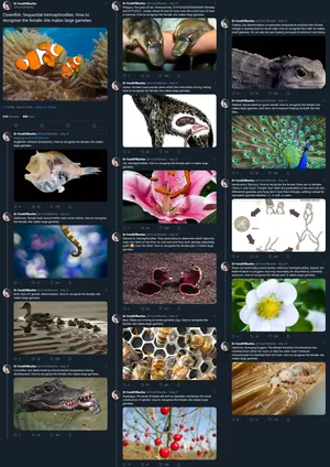 Sex Explained by DrFondOfBeetles.jpg